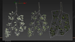 ꡼ No.058 | GTMFϡKite Demoפǡ16kmιʥꥢɤ3ǴȾץץϷˡȤ