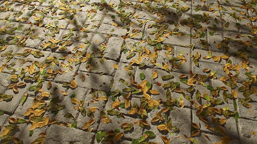 画像ギャラリー No.002のサムネイル画像 / Epic Gamesが3Dスキャンデータの大手Quixelの買収を発表。「UE4」ユーザーはフォトグラメトリ向けスキャンデータが無料利用可能に