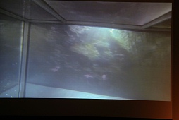 #064Υͥ/ʤUnity塼󥫥ե2014׳šʹ֤ĥ뵻Ѥ˴ؤĴֱݡ