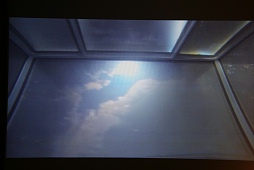 #065Υͥ/ʤUnity塼󥫥ե2014׳šʹ֤ĥ뵻Ѥ˴ؤĴֱݡ