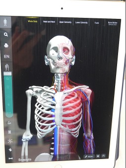 ���������꡼ No.003�Υ���ͥ������ / ���Ÿ�������̤�Unity����ӤĤ��ƿ��β�˶�إ��ץ��teamLabBody�פˡ���Unity����塼����󥫥�ե���󥹡ס֥����������Ť�ߤ���İ�֥�ݡ���