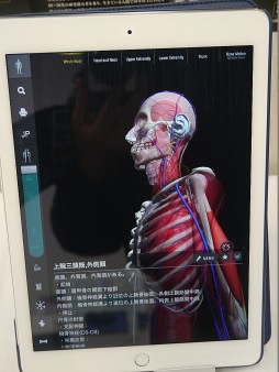 ���������꡼ No.004�Υ���ͥ������ / ���Ÿ�������̤�Unity����ӤĤ��ƿ��β�˶�إ��ץ��teamLabBody�פˡ���Unity����塼����󥫥�ե���󥹡ס֥����������Ť�ߤ���İ�֥�ݡ���