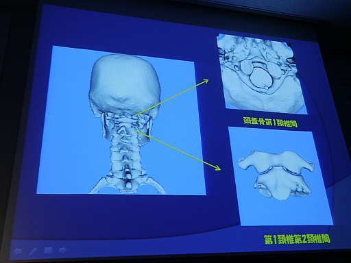 ���������꡼ No.016�Υ���ͥ������ / ���Ÿ�������̤�Unity����ӤĤ��ƿ��β�˶�إ��ץ��teamLabBody�פˡ���Unity����塼����󥫥�ե���󥹡ס֥����������Ť�ߤ���İ�֥�ݡ���