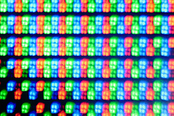 ꡼ No.008 | SIGGRAPH ASIA8K٤ǺƸ줿̺ؤưUnityǥ˶س