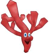 ꡼ No.012 | ֲ쥬ǥפ˼֥ѡȥפо졣̵θǤۿ