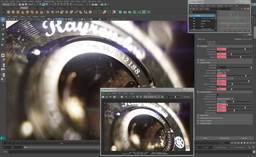 ꡼ No.009Υͥ /  ꥳ󥹥YEBIS 3פεǽѤǤMayaѥץ饰䳫