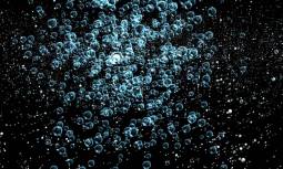 ꡼ No.009 | 3DեȥġBISHAMONפκǿСGTMF 2013ȯɽͽ