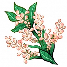 ꡼ No.006Υͥ / ֥饰ʥ ǥå ס䥫ɤʤɤμΨǧǤʼ޴աפΥǡѤ˴ؤ󤬸ˡ¾ȥȤΥܾ