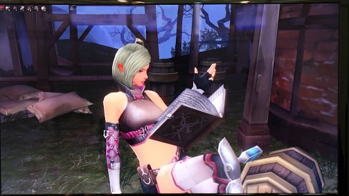 ꡼ No.018Υͥ / G-Star 2013ϡELSWORDפKOG꤬롤ܤοMMORPGAIMAסξܺ٤CEOʹƤߤ