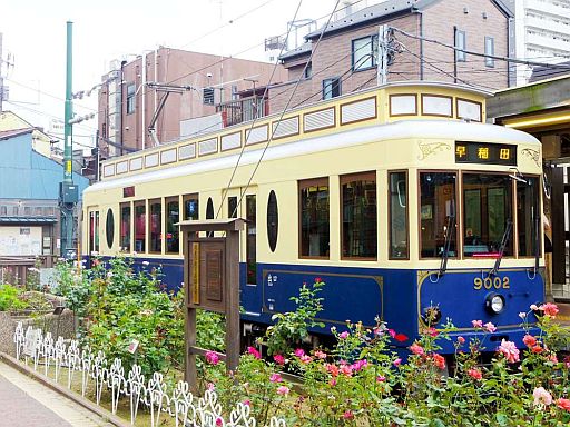 ꡼ No.002 | зסŹǡ֤ᤤ֡פԡ̤ʼ⹭