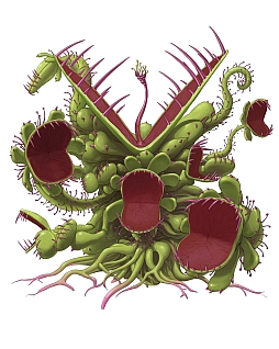 ꡼ No.003 | ֥Хӥס1ͤοäֲǤ襤ֿΥǥפ»