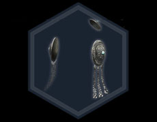 ���������꡼ No.042�Υ���ͥ������ / PS3�ǡֿ�����Ԣ̵�� Online Z�ס��ѥå������Ǥ�������������ŵ�����ƥॷ�ꥢ�륷���ȡפ���Ѥ�������Ǥ��륲�����⥢���ƥ�ξܺ٤����餫��