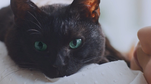 RPG ˡȤȹǭΥ CM  (30ver)