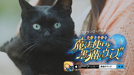 画像ギャラリー No.002のサムネイル画像 / 「魔法使いと黒猫のウィズ」のTVCMが放映開始。記念キャンペーンも開催