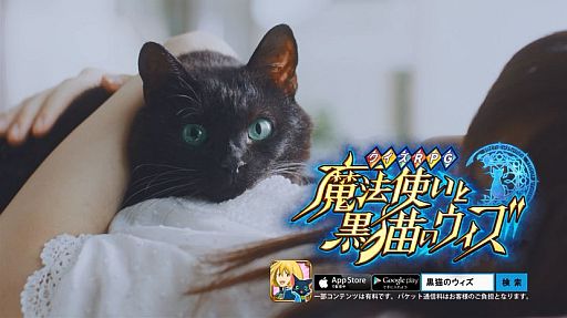 画像ギャラリー No.001のサムネイル画像 / 「クイズRPG 魔法使いと黒猫のウィズ」，テレビCMが5つの地域で放送開始