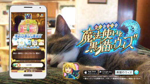 画像ギャラリー No.001のサムネイル画像 / 「黒猫のウィズ」新TVCM「ごめん寝編」と「起きたら編」を3月5日に放映開始