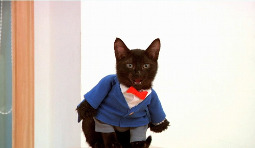 画像ギャラリー No.012のサムネイル画像 / 「黒猫のウィズ」，アニメ「名探偵コナン」とのコラボを12月21日より実施