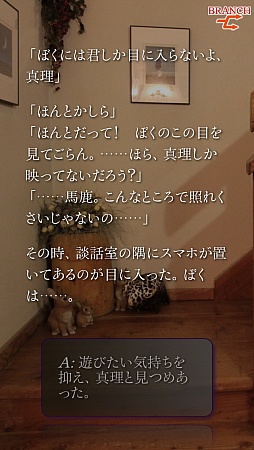 ꡼ No.012 | Ȥ䡢12줫̡ɥޡȥե֤ޤ Smart Sound NovelפҲ𤹤֡ʤۤܡޥۥ̿435