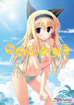 ꡼ No.003 | 륱ߥȤߥ84˽ŸPSPֺ-Saki- βԡפΥåʤɤ