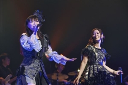 ꡼ No.019 | ֥ץѡƥ ǡספݡȡĤ˺ȽؤƧڤä㥹ȿءǡȶɥ९ꥨƻα̿ǡˡ