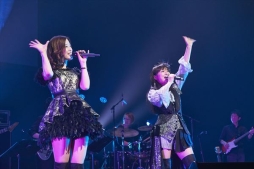 ꡼ No.020 | ֥ץѡƥ ǡספݡȡĤ˺ȽؤƧڤä㥹ȿءǡȶɥ९ꥨƻα̿ǡˡ