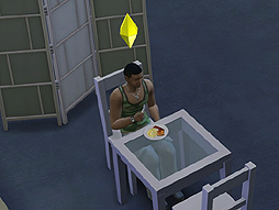 画像集#024のサムネイル/他人の人生を自由に遊べる「The Sims 4」をレビュー。シリーズ未経験者でも，始めるなら今がチャンスだ