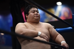 ꡼ No.003Υͥ / TGS 20164GamerDDTץ쥹ߥ󥰥ɥ꡼ලԡְꤤǤ 2.5ץեȥݡȡDDTײפϡϽɥ꡼μ