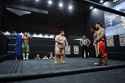 ꡼ No.004Υͥ / TGS 20164GamerDDTץ쥹ߥ󥰥ɥ꡼ලԡְꤤǤ 2.5ץեȥݡȡDDTײפϡϽɥ꡼μ