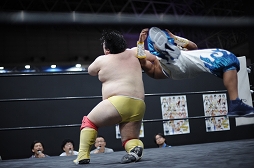 ꡼ No.007Υͥ / TGS 20164GamerDDTץ쥹ߥ󥰥ɥ꡼ලԡְꤤǤ 2.5ץեȥݡȡDDTײפϡϽɥ꡼μ