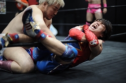 ꡼ No.012Υͥ / TGS 20164GamerDDTץ쥹ߥ󥰥ɥ꡼ලԡְꤤǤ 2.5ץեȥݡȡDDTײפϡϽɥ꡼μ