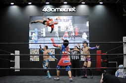 ꡼ No.015Υͥ / TGS 20164GamerDDTץ쥹ߥ󥰥ɥ꡼ලԡְꤤǤ 2.5ץեȥݡȡDDTײפϡϽɥ꡼μ