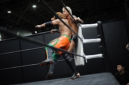 ꡼ No.020Υͥ / TGS 20164GamerDDTץ쥹ߥ󥰥ɥ꡼ලԡְꤤǤ 2.5ץեȥݡȡDDTײפϡϽɥ꡼μ