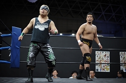 ꡼ No.025Υͥ / TGS 20164GamerDDTץ쥹ߥ󥰥ɥ꡼ලԡְꤤǤ 2.5ץեȥݡȡDDTײפϡϽɥ꡼μ