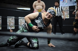 ꡼ No.027Υͥ / TGS 20164GamerDDTץ쥹ߥ󥰥ɥ꡼ලԡְꤤǤ 2.5ץեȥݡȡDDTײפϡϽɥ꡼μ