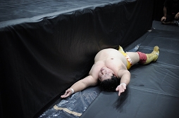 ꡼ No.029Υͥ / TGS 20164GamerDDTץ쥹ߥ󥰥ɥ꡼ලԡְꤤǤ 2.5ץեȥݡȡDDTײפϡϽɥ꡼μ