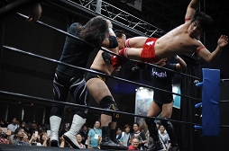 ꡼ No.030Υͥ / TGS 20164GamerDDTץ쥹ߥ󥰥ɥ꡼ලԡְꤤǤ 2.5ץեȥݡȡDDTײפϡϽɥ꡼μ