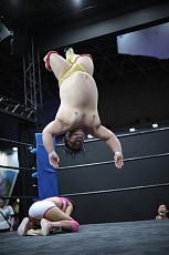 ꡼ No.033Υͥ / TGS 20164GamerDDTץ쥹ߥ󥰥ɥ꡼ලԡְꤤǤ 2.5ץեȥݡȡDDTײפϡϽɥ꡼μ