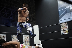 ꡼ No.038Υͥ / TGS 20164GamerDDTץ쥹ߥ󥰥ɥ꡼ලԡְꤤǤ 2.5ץեȥݡȡDDTײפϡϽɥ꡼μ