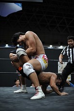 ꡼ No.043Υͥ / TGS 20164GamerDDTץ쥹ߥ󥰥ɥ꡼ලԡְꤤǤ 2.5ץեȥݡȡDDTײפϡϽɥ꡼μ