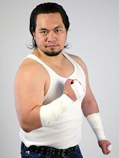 ���������꡼ No.006�Υ���ͥ������ / �֥�󥰥ɥ꡼�� ���ҥץ��쥹�����DDT���������ײ���6�ƥ쥹�顼������