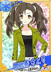 ���������꡼ No.010�Υ���ͥ������ / �֥�󥰥ɥ꡼�� ���ҥץ��쥹�����DDT���������ײ���6�ƥ쥹�顼������