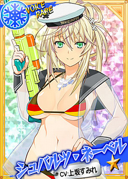 画像ギャラリー No.002のサムネイル画像 / 「リングドリーム 女子プロレス大戦」，悩殺蹂躙「シュバルツ・ネーベル」が水着姿で登場
