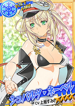 画像ギャラリー No.003のサムネイル画像 / 「リングドリーム 女子プロレス大戦」，悩殺蹂躙「シュバルツ・ネーベル」が水着姿で登場
