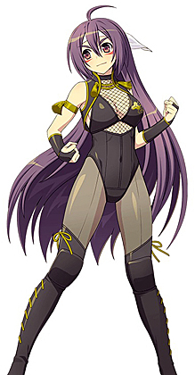 画像ギャラリー No.006のサムネイル画像 / 「リングドリーム 女子プロレス大戦」，スパイダー菊池が新デザインで登場
