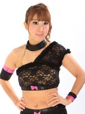 ���������꡼ No.004�Υ���ͥ������ / �֥�󥰥ɥ꡼�� ���ҥץ��쥹����ס���DDT���������ײ�ɤ���7�ƥ쥹�顼����������