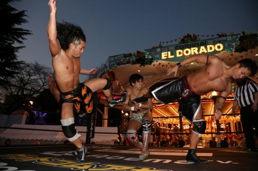 ���������꡼ No.017�Υ���ͥ������ / �֥�󥰥ɥ꡼��׼��DDT�ץ��쥹���ԡְ��ϰ�����ꤤ�Ǥ�3�פ����š��Ķ��β��ǥץ��쥹�Ȳ��ڤˤ�륫���˥Х���֤��и�