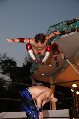 ���������꡼ No.018�Υ���ͥ������ / �֥�󥰥ɥ꡼��׼��DDT�ץ��쥹���ԡְ��ϰ�����ꤤ�Ǥ�3�פ����š��Ķ��β��ǥץ��쥹�Ȳ��ڤˤ�륫���˥Х���֤��и�