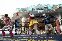 ���������꡼ No.023�Υ���ͥ������ / �֥�󥰥ɥ꡼��׼��DDT�ץ��쥹���ԡְ��ϰ�����ꤤ�Ǥ�3�פ����š��Ķ��β��ǥץ��쥹�Ȳ��ڤˤ�륫���˥Х���֤��и�