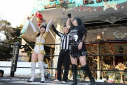 ���������꡼ No.024�Υ���ͥ������ / �֥�󥰥ɥ꡼��׼��DDT�ץ��쥹���ԡְ��ϰ�����ꤤ�Ǥ�3�פ����š��Ķ��β��ǥץ��쥹�Ȳ��ڤˤ�륫���˥Х���֤��и�