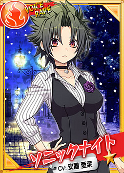 画像ギャラリー No.005のサムネイル画像 / 「リングドリーム 女子プロレス大戦」,ソニックナイトが季節限定デザインで登場。クリスマスイベントの開催も